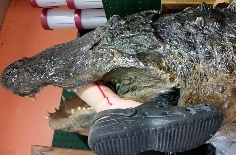 Click to See Next Image